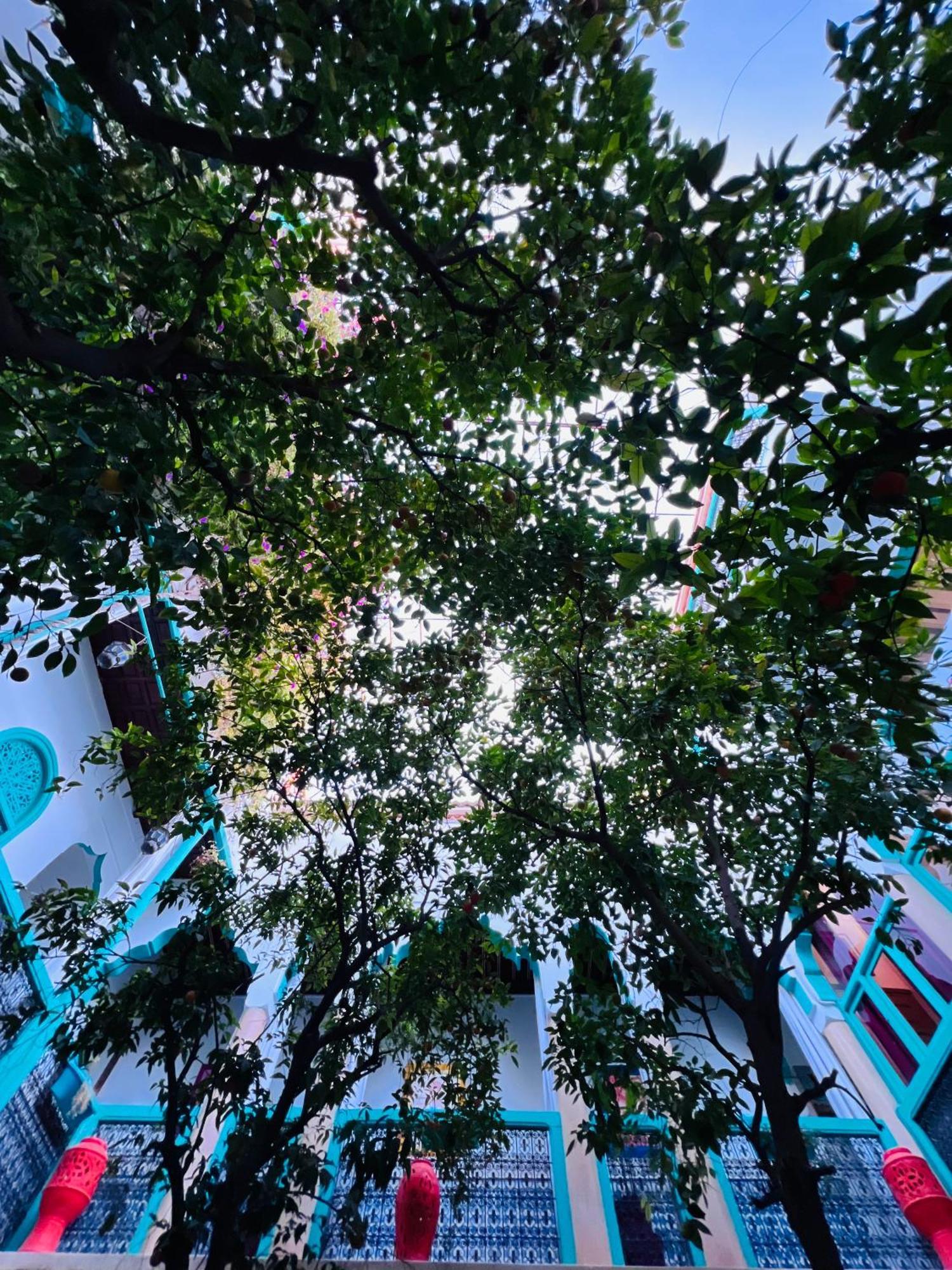 Riad Al Nour Марракеш Екстер'єр фото